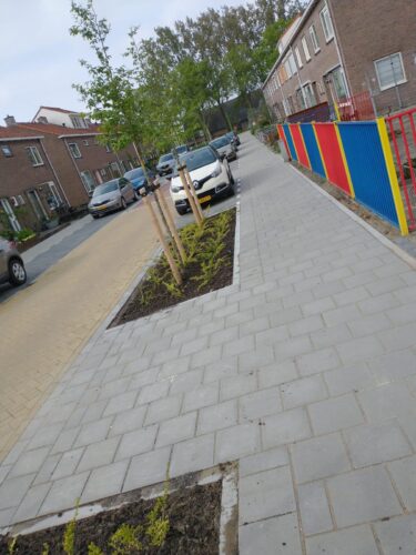 Aangelegd plantvak met bomen tussen nieuwe bestrating in een woonstraat