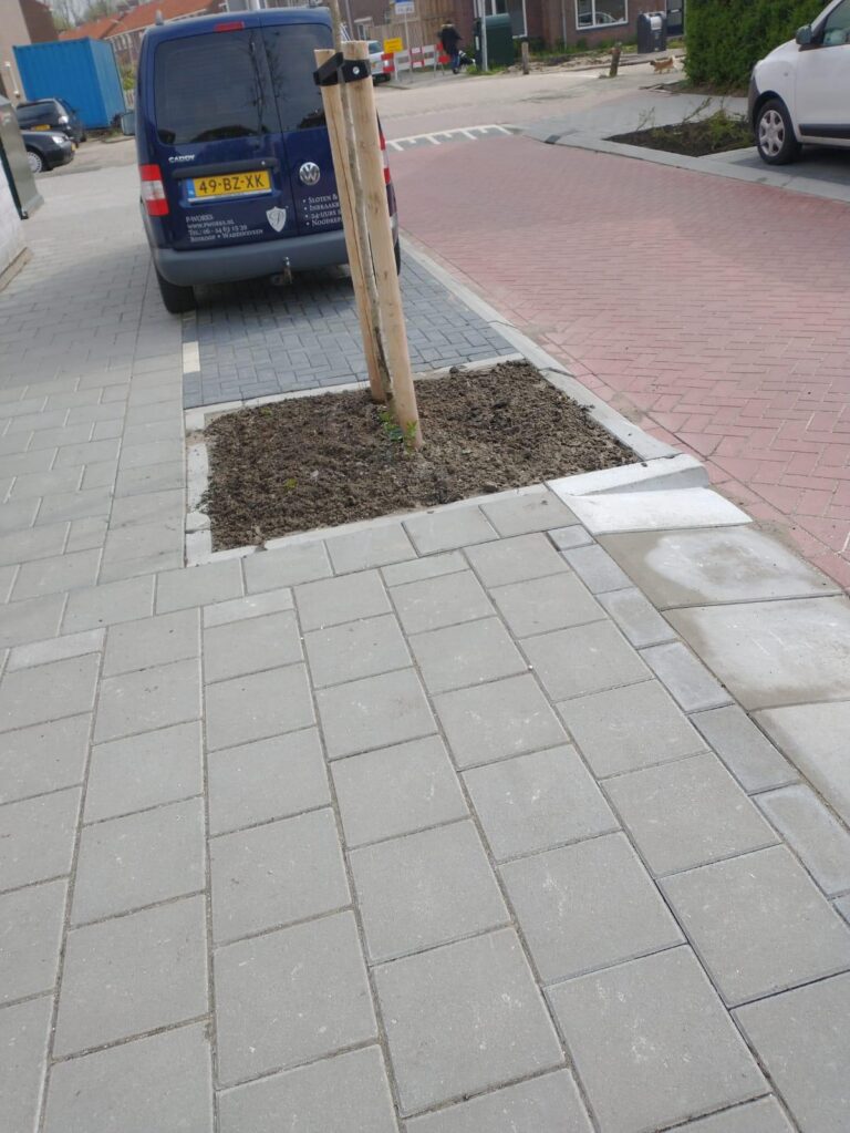 Nieuw plantvak met aangeplante heesters en een boom op steunpalen