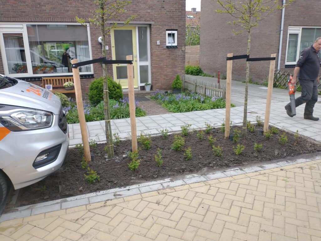 Aangeplant vak met heesters en bomen op steunpalen langs het trottoir