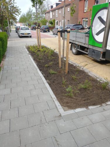 Groenstrook met gazon en bestaande beplanting langs een fietspad