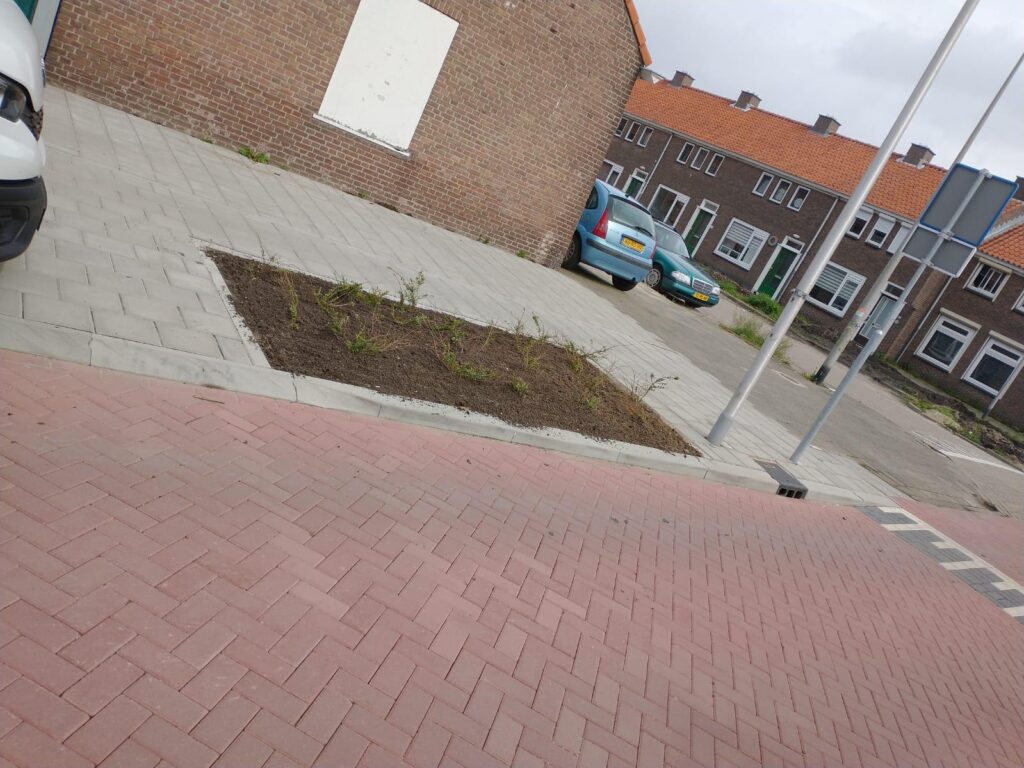 Plantvak ingepast tussen trottoir en rijbaan