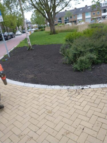 Aangeplant vak met heesters rond een boom, ingepast in de bestrating